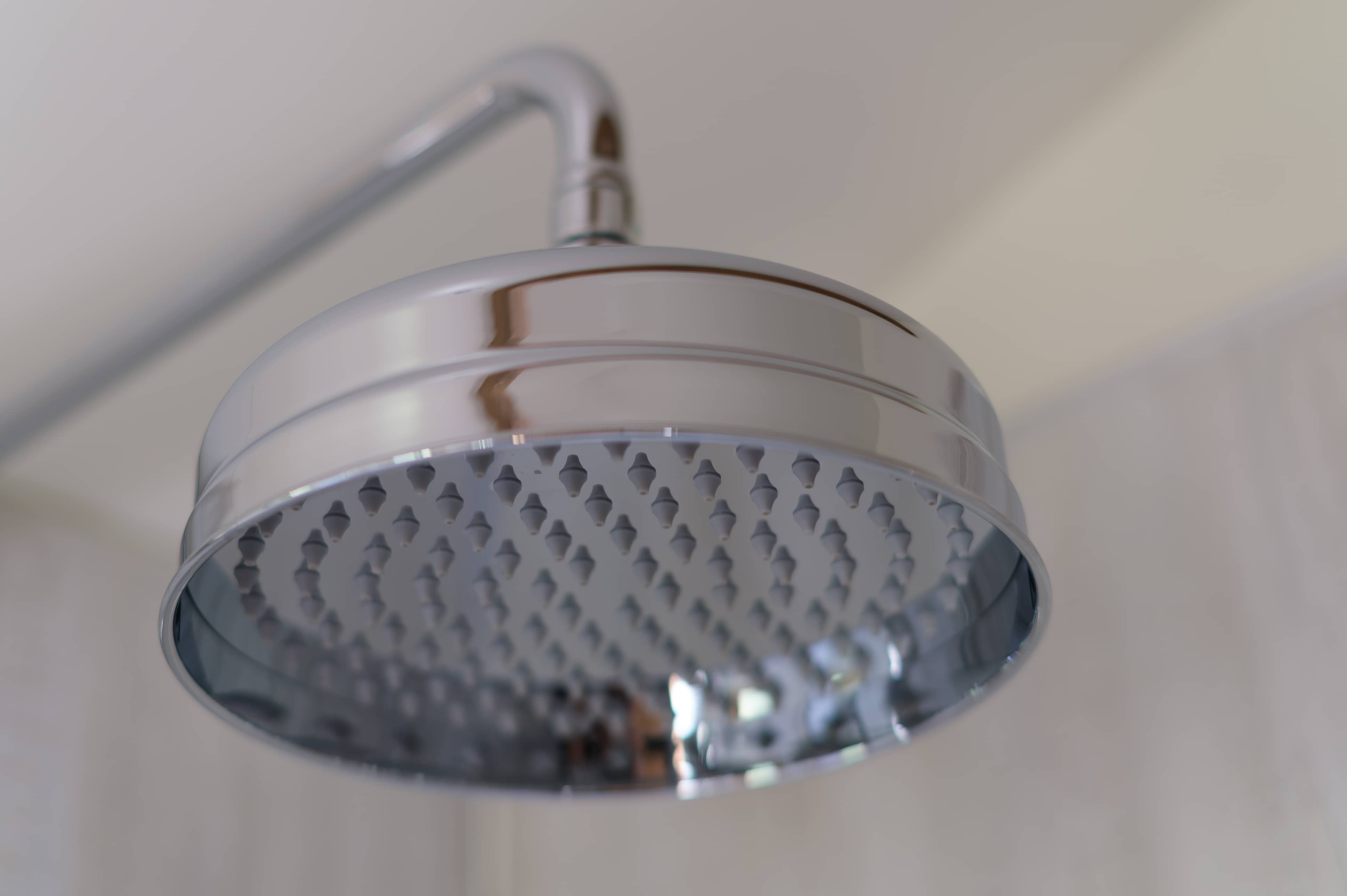 Close up of chrome rainfall shower head