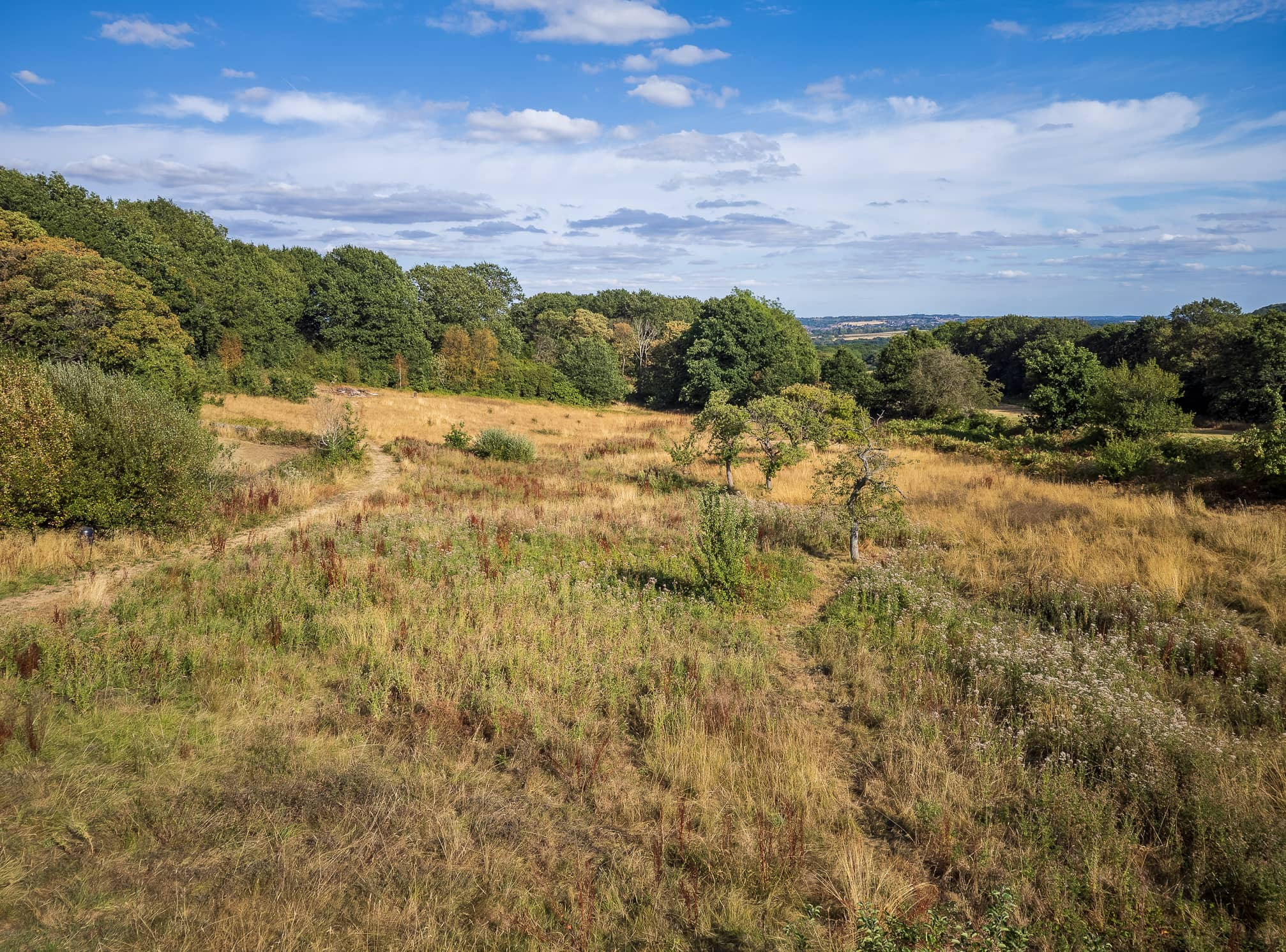 Expansive view of the meadow at The Clearing in the Peak District